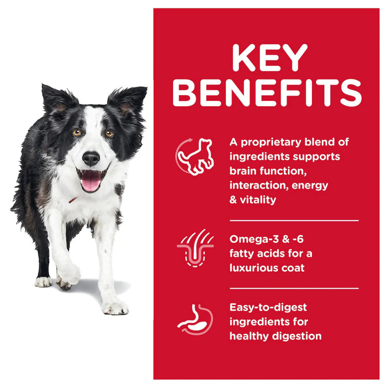 Hill's Science Diet Adult 7+ Senior Vitality Chicken Recipe Dry Dog Food