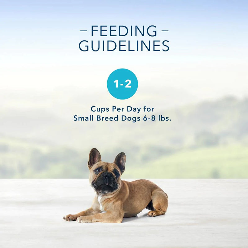 Blue Buffalo Blue Delights Small Breed Roasted Turkey Pate Dog Food Cup