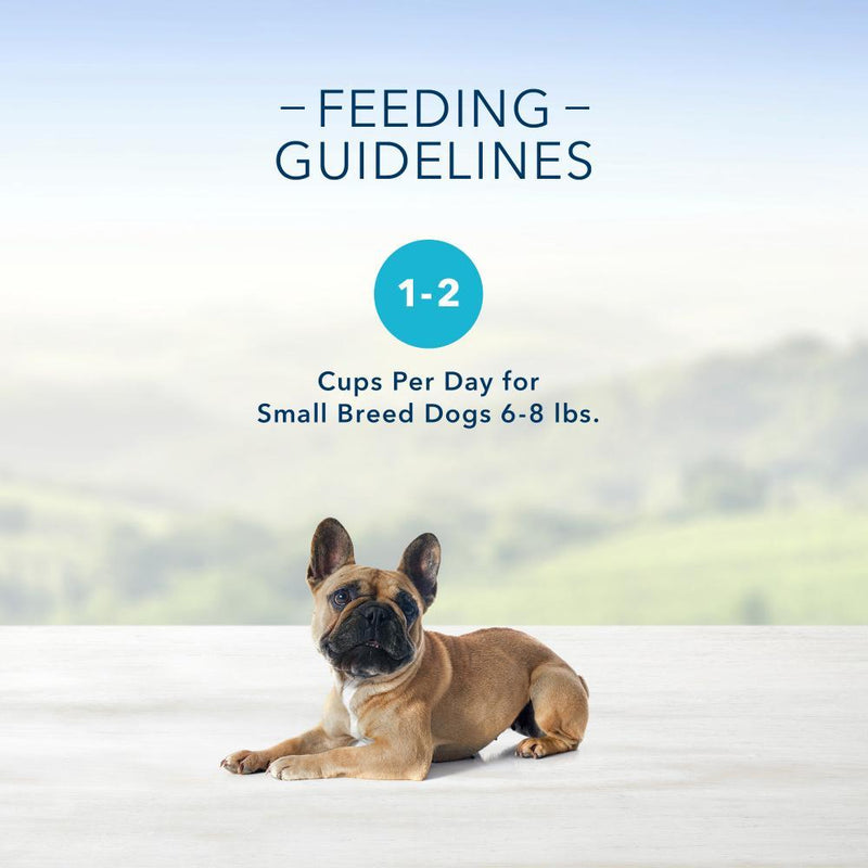 Blue Buffalo Blue Delights Small Breed Top Sirloin Pate Dog Food Cup