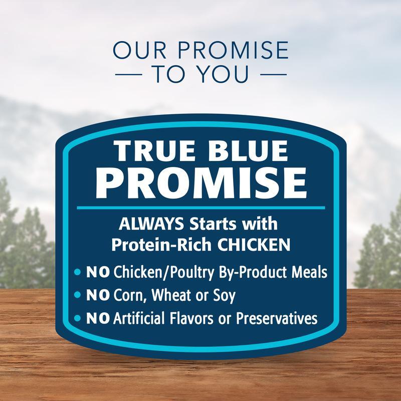 Blue Buffalo Wilderness Trail Trays Turkey Grill Dog Food Cup