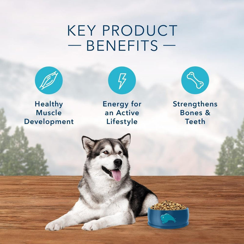 Blue Buffalo Wilderness Grain Free Flatland Feast Turkey, Quail, & Duck Recipe Natural Dry Dog Food