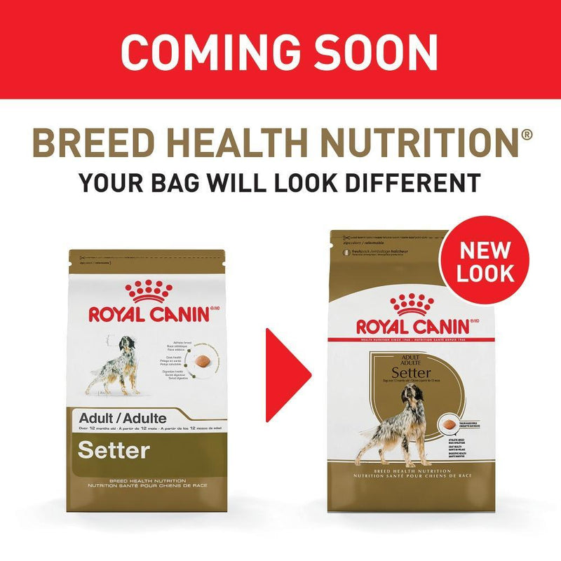 Royal Canin Breed Health Nutrition Adult Setter Dry Dog Food