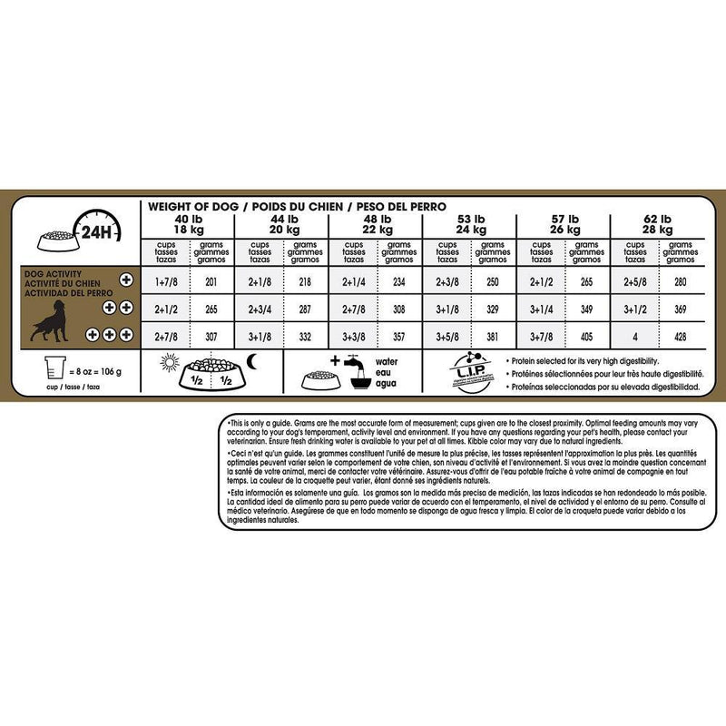 Royal Canin Breed Health Nutrition Adult Setter Dry Dog Food