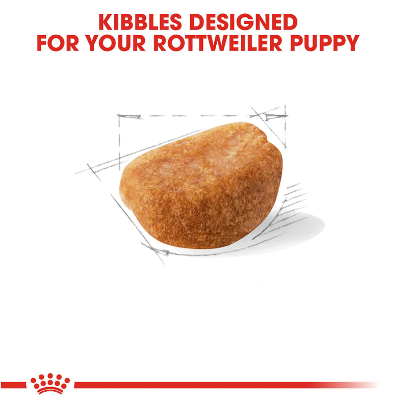 Royal Canin Breed Health Nutrition Rottweiler Puppy Recipe Dry Dog Food