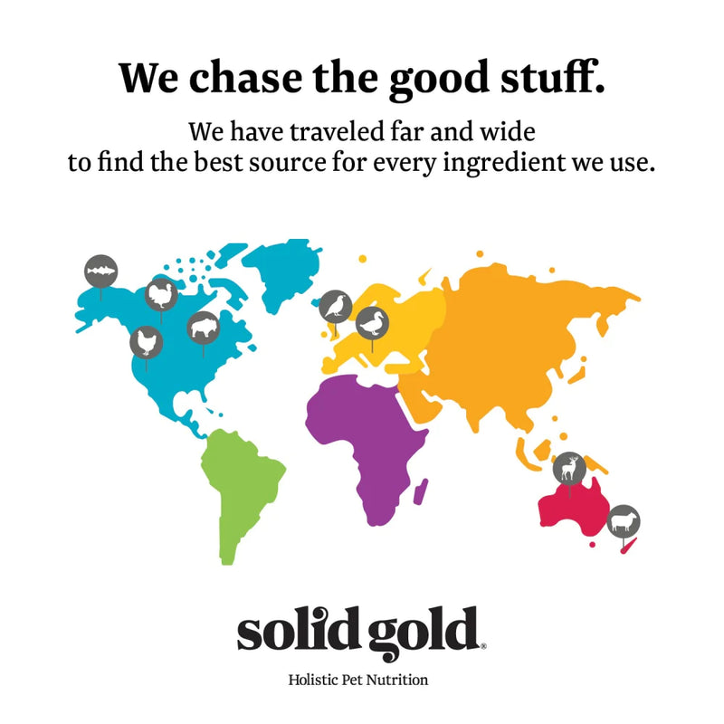 Solid Gold Tropical Blendz Grain Free Pate with Salmon & Coconut Oil Canned Cat Food