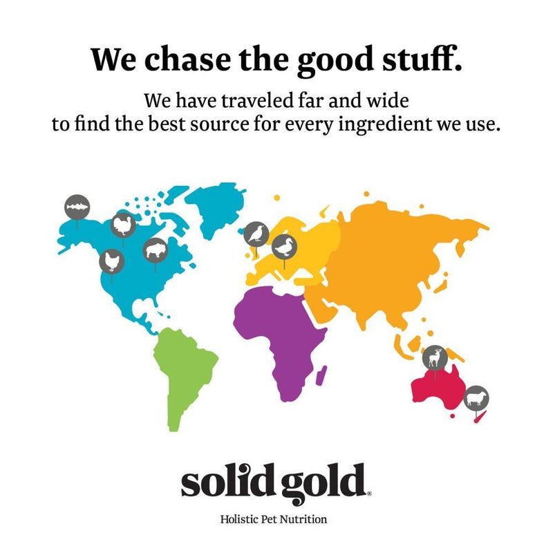 Solid Gold Tropical Blendz Grain Free Pate with Turkey & Coconut Oil Canned Cat Food