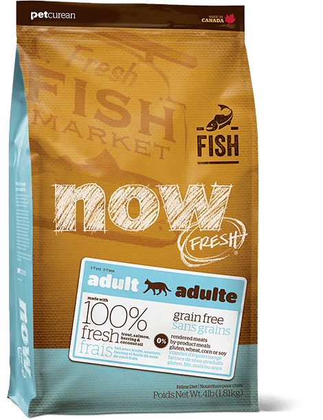 Petcurean Now! Fresh Grain Free Fish Recipe Adult Dry Cat Food