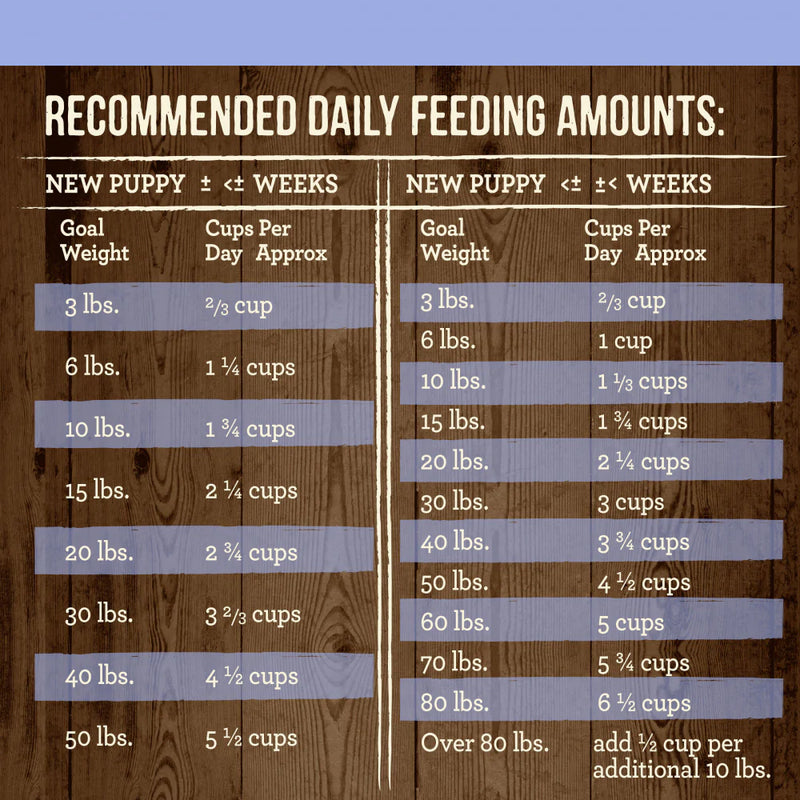 Merrick Grain Free Real Texas Beef & Sweet Potato Puppy Recipe Dry Dog Food