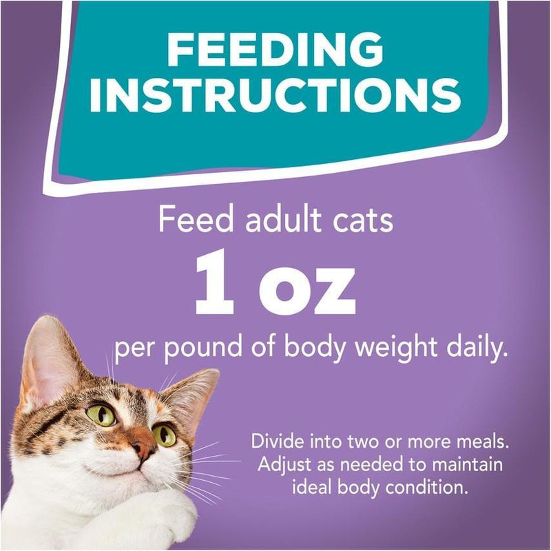 Friskies Tasty Treasures Turkey Dinner in Gravy Canned Cat Food