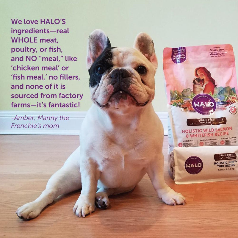 Halo Small Breed Holistic Grain Free Healthy Weight Wild Salmon & Whitefish Dry Dog Food