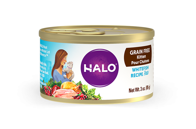 Halo Kitten Grain Free Whitefish Recipe Pate Canned Cat Food