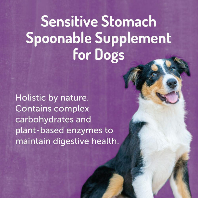 Halo Sensitive Stomach Supplement Powder for dogs