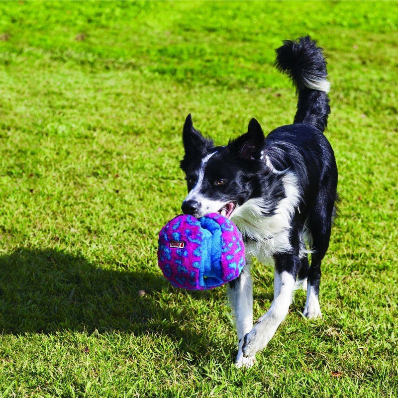 KONG Funzler Ball Plush Dog Toy