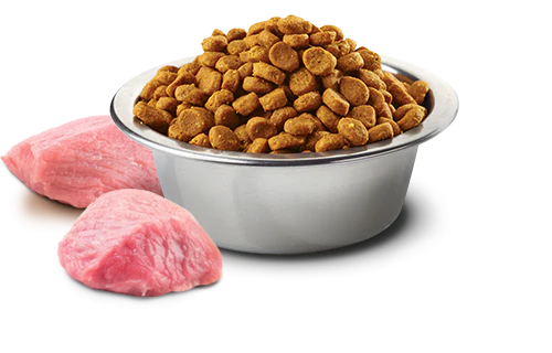Farmina N&D Natural & Delicious Grain Free Mini Adult Wild Boar & Apple Dry Dog Food