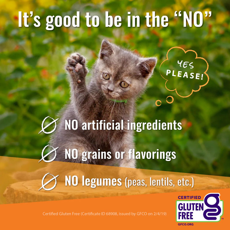 Vital Essentials Freeze Dried Grain Free Chicken Hearts Limited Ingredient Cat Treats