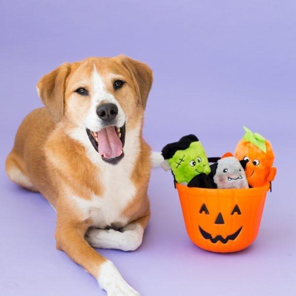 ZippyPaws Halloween Squeakie Buddies Set of 3 No Stuffing Plush Dog Toys
