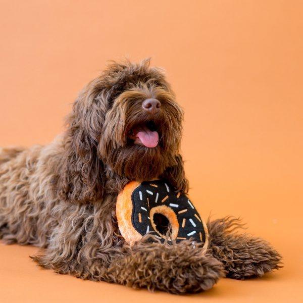 ZippyPaws Halloween Donutz Squeaky No Stuffing Plush Dog Toy