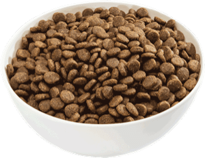 Wild Frontier Vital Prey Diet Grain Free Beef & Wild Boar Large Breed Recipe Dry Dog Food