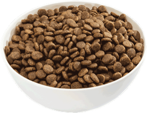 Wild Frontier Vital Prey Diet Grain Free Turkey & Duck Recipe Puppy Dry Dog Food