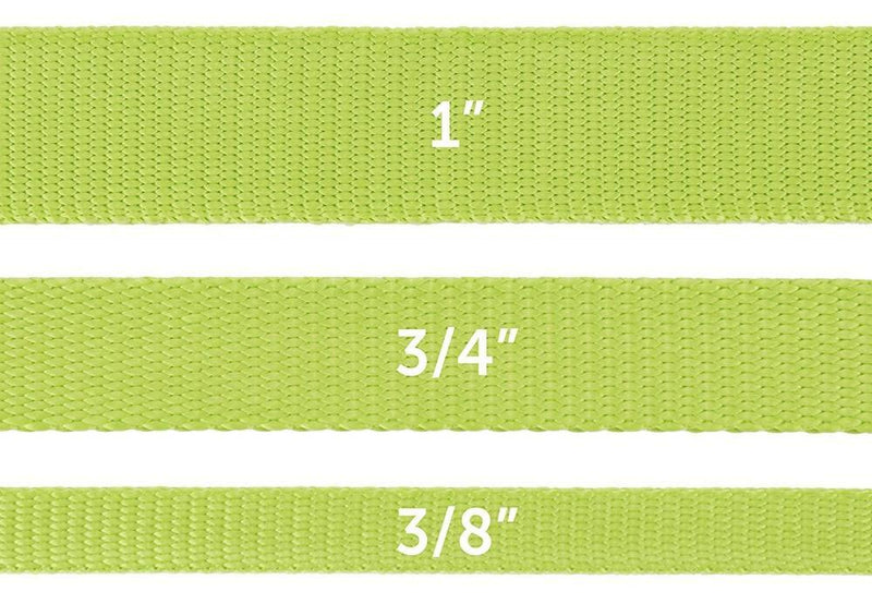 PetSafe Premier Apple Green Nylon Dog Leash