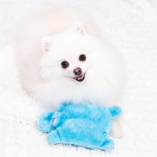 ZippyPaws Squeakie Pad No Stuffing Hippo Plush Dog Toy