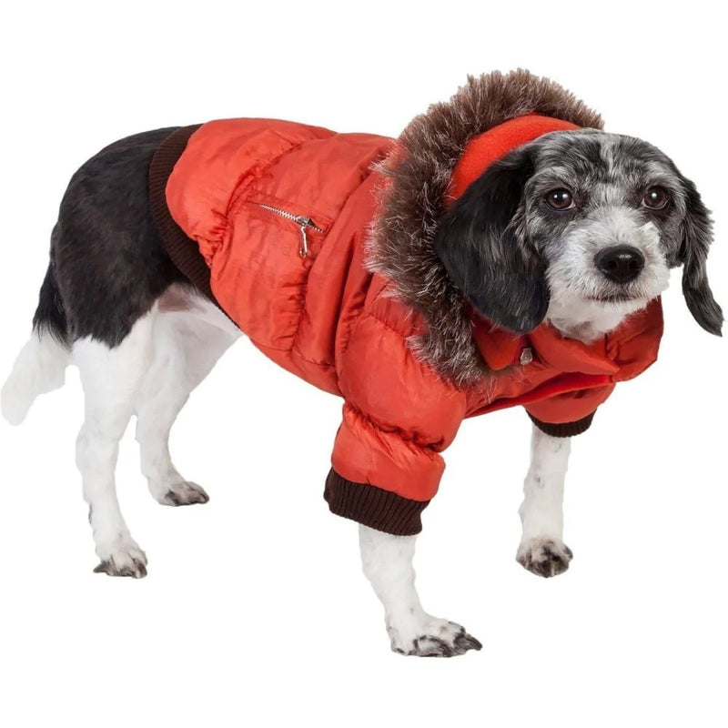 Pet Life Metallic Orange Fashion Parka Insulated Dog Coat with Removable Hood