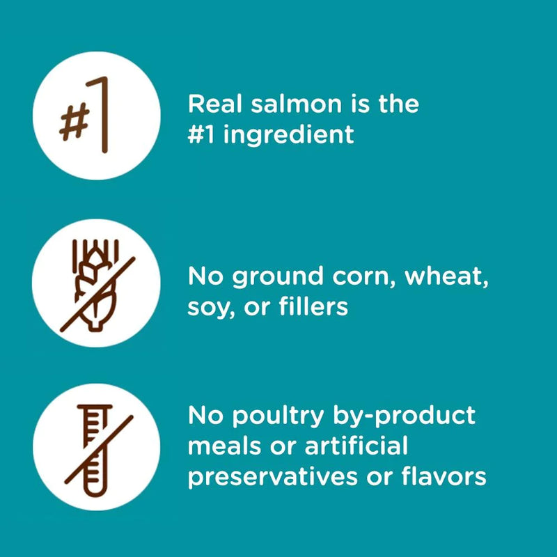 Rachael Ray Nutrish Natural Salmon & Brown Rice Recipe Dry Cat Food