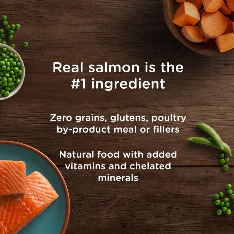 Rachael Ray Nutrish Zero Grain Natural Salmon & Sweet Potato Recipe Dry Dog Food