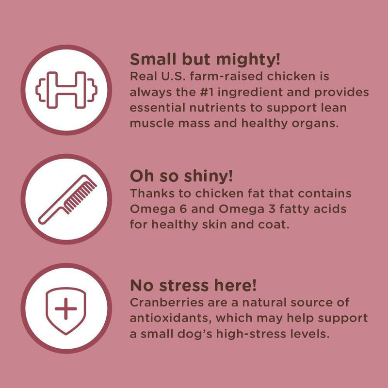 Rachael Ray Nutrish Little Bites Small Breed Chicken & Veggies Recipe Dry Dog Food