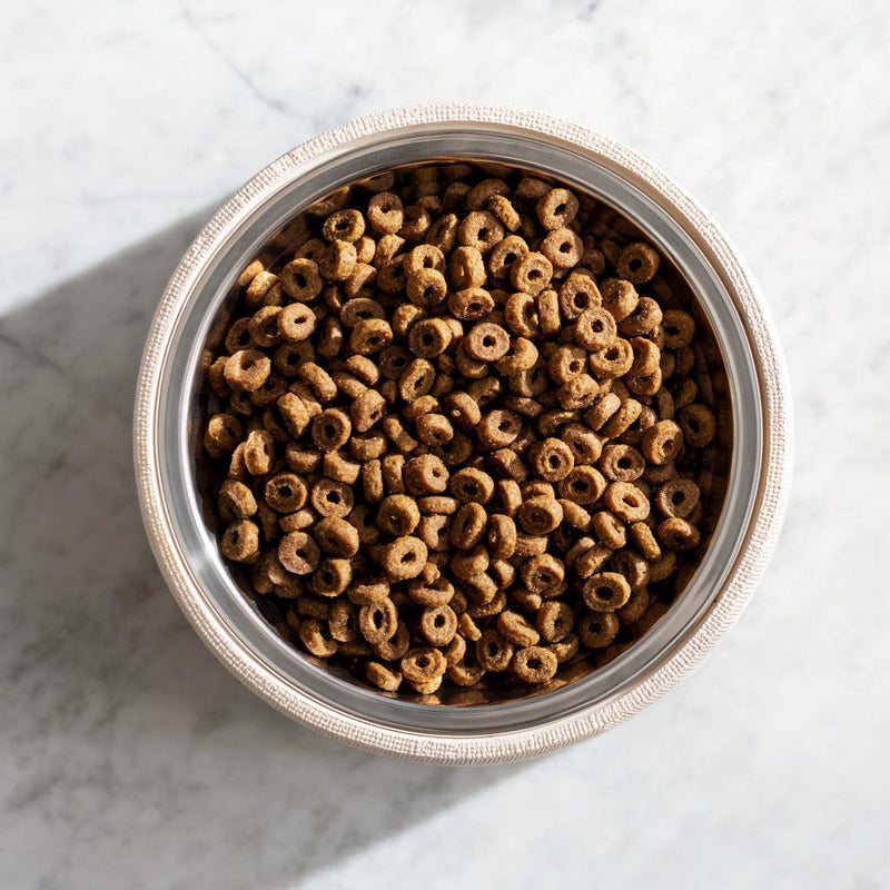 Natural Balance Original Ultra Grain Free Puppy Recipe with Chicken Dry Dog Food