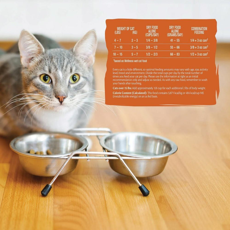 Wellness CORE RawRev Original Deboned Turkey, Turkey Meal, & Chicken Meal Dry Cat Food
