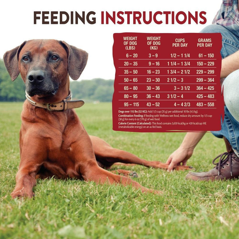 Wellness CORE SIX Free-Range Lamb with Chickpeas Recipe Dry Dog Food
