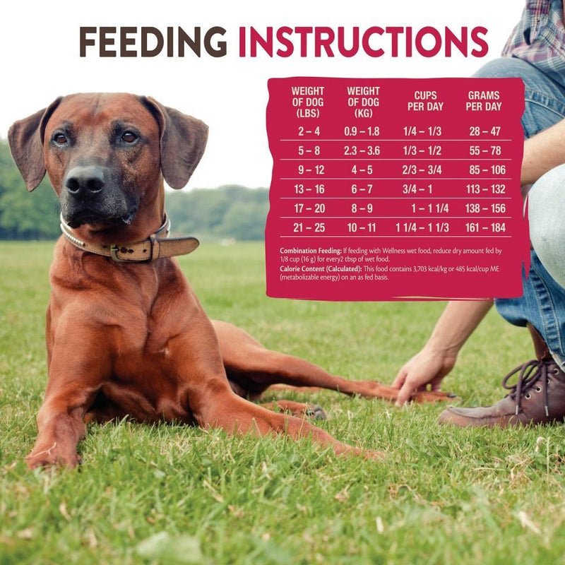 Wellness CORE SIX Salmon with Chickpeas Recipe Small Breed Dry Dog Food