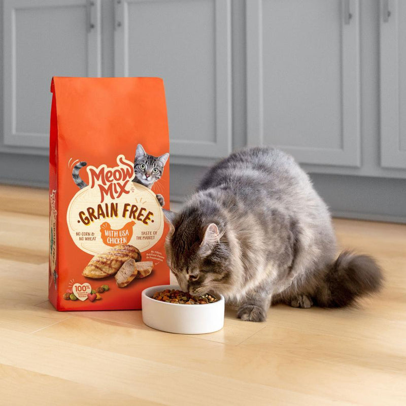 Meow Mix Grain Free Wild Salmon Recipe Dry Cat Food