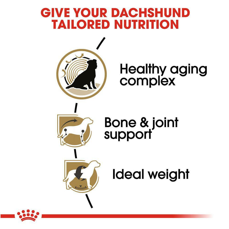 Royal Canin Dachshund 8+ Adult Dry Dog Food