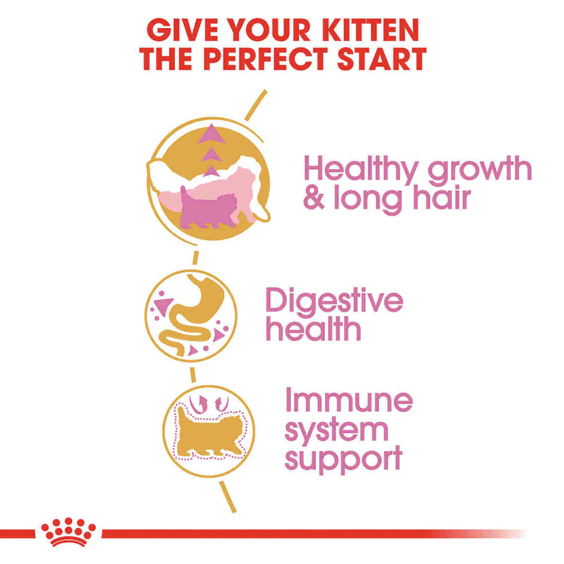 Royal Canin Feline Breed Nutrition Persian Kitten Dry Cat Food