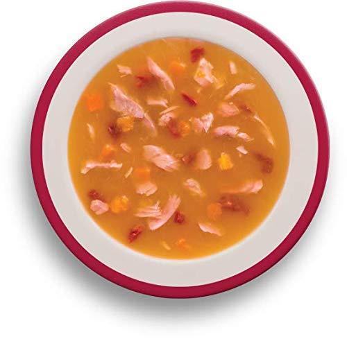 Rachael Ray Nutrish Purrfect Broths Classic Salmon Recipe Wet Cat Food Topper