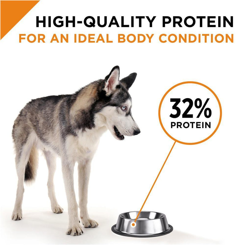 Purina Pro Plan Savor Grain Free Shredded Beef & Salmon Blend Formula Dry Dog Food
