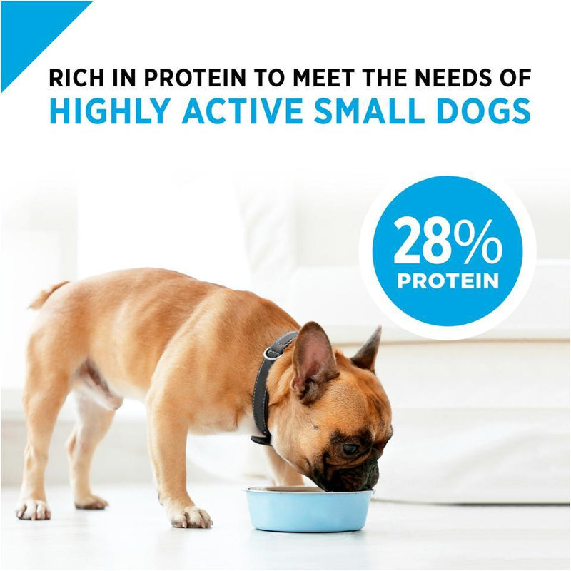Purina Pro Plan Focus Grain Free Chicken & Egg Adult Small & Toy Breed Formula Dry Dog Food
