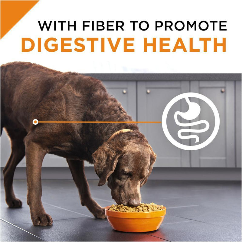 Purina Pro Plan Savor Grain Free Shredded Blend Turkey & Chicken Formula Dry Dog Food