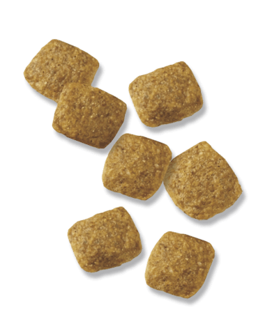 Purina Pro Plan Focus Weight Management Chicken & Rice Formula Adult Dry Dog Food