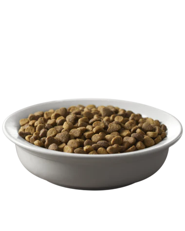 Purina Pro Plan Savor Salmon & Rice Formula Adult Dry Cat Food