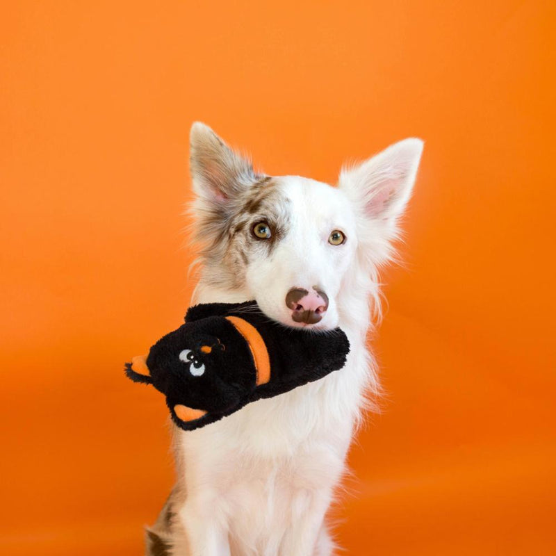 ZippyPaws Colossal Buddy Black Cat Halloween Plush Dog Toy