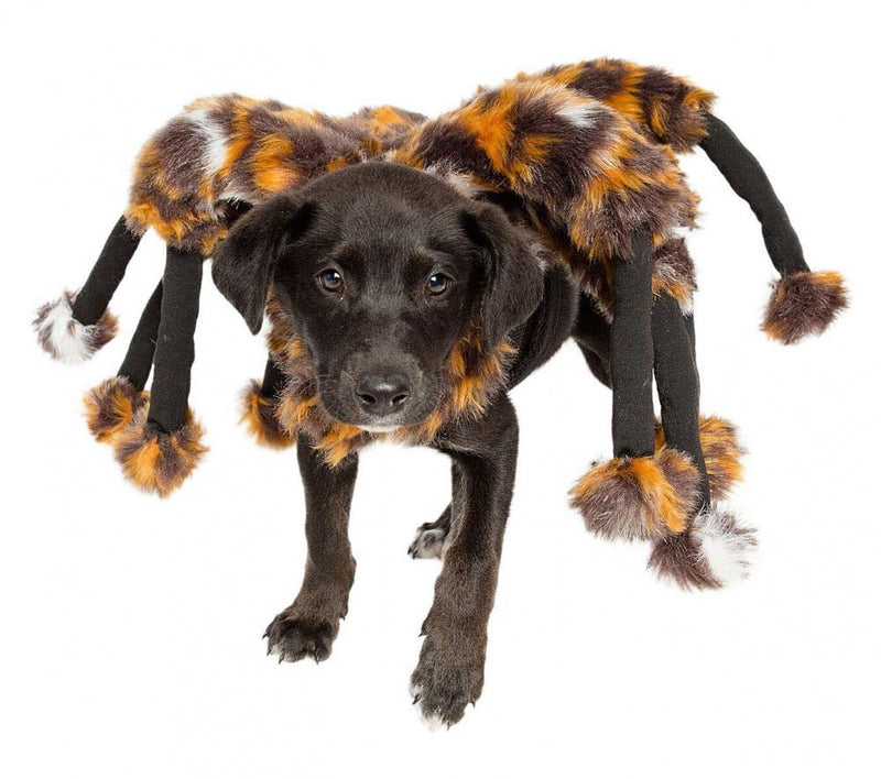 Pet Krewe Spider Dog Costume