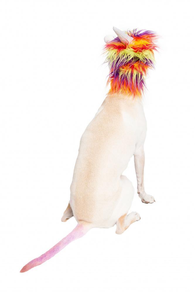Pet Krewe Unicorn Dog Costume