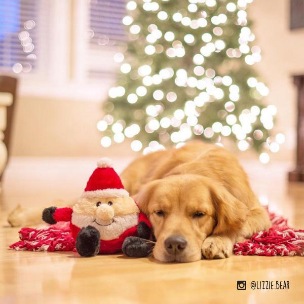 ZippyPaws Holiday Brainey Santa Plush Dog Toy