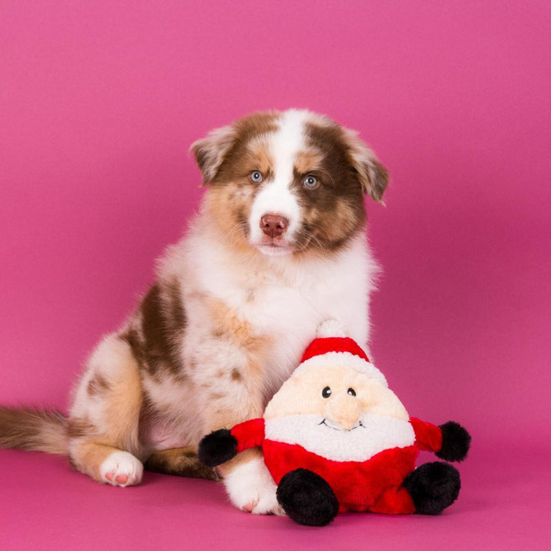 ZippyPaws Holiday Brainey Santa Plush Dog Toy
