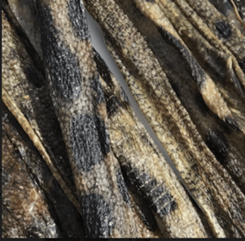 Icelandic+ Wolffish Skin Strips Fish Dog Treats