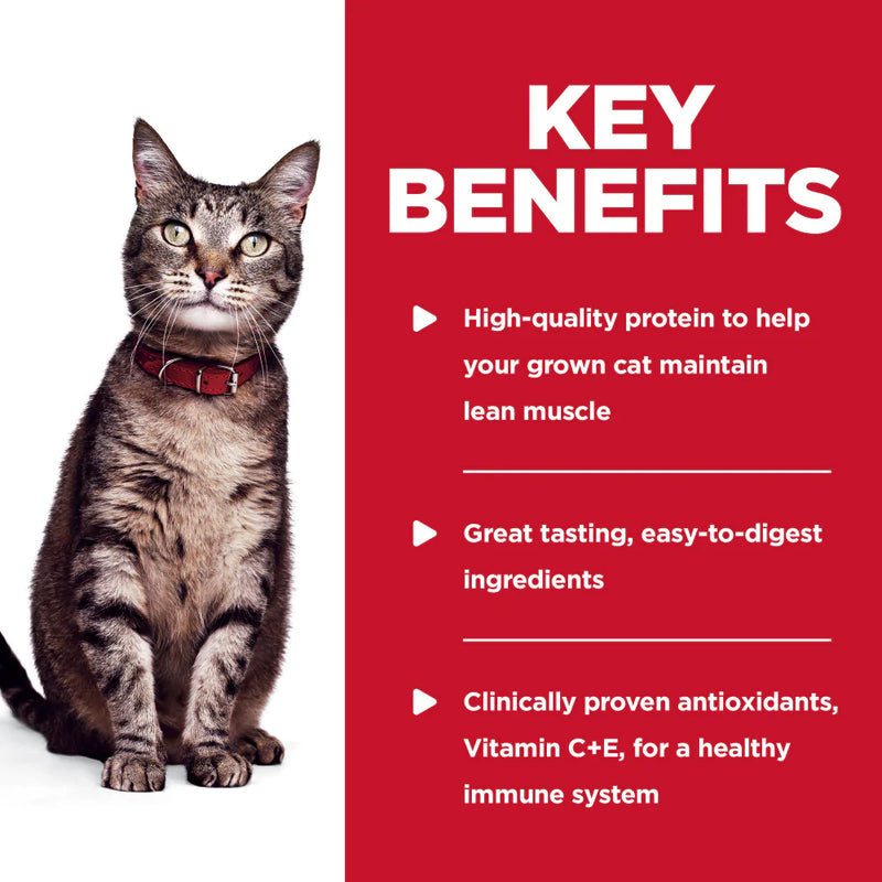 Hill's Science Diet Adult Tender Ocean Fish Dinner Wet Cat Food