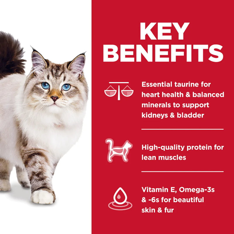 Hill's Science Diet No Corn, Wheat, Soy Chicken Adult Dry Cat Food